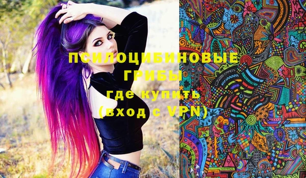 соль ск Алексеевка