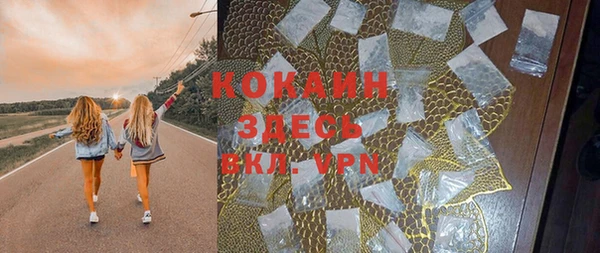 ешки Алексин