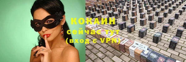 соль ск Алексеевка