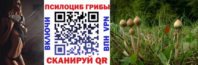 наркота  Лянтор  Псилоцибиновые грибы MAGIC MUSHROOMS 